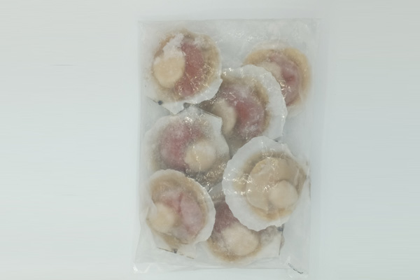 Half shell scallop